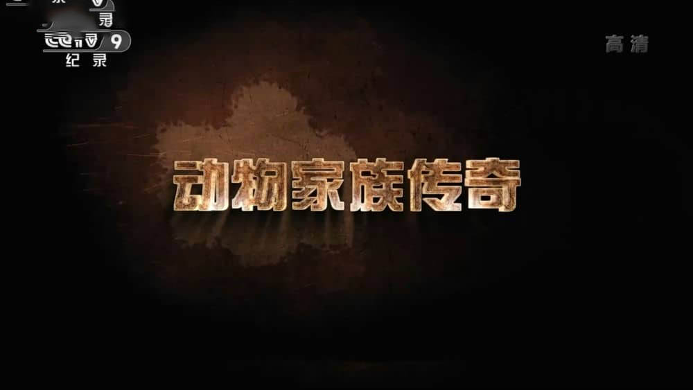 央视译制纪录片《动物家族传奇 2019》[全5集][中字][1080P][网盘][资源下载]