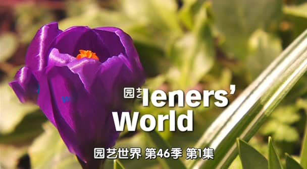 BBC纪录片《园艺世界 Gardeners' World 2013》[ 第四十六季全31集][中字][DVD画质][网盘][资源下载]