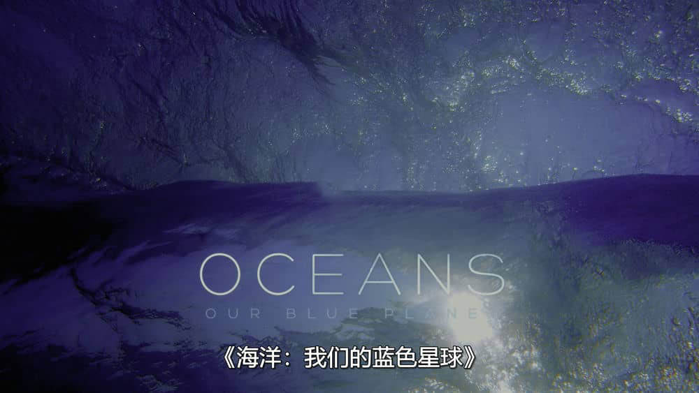 BBC纪录片《海洋：我们的蓝色星球 Oceans:Our Blue Planet 2018》[全1集][中字][4K][网盘][资源下载]