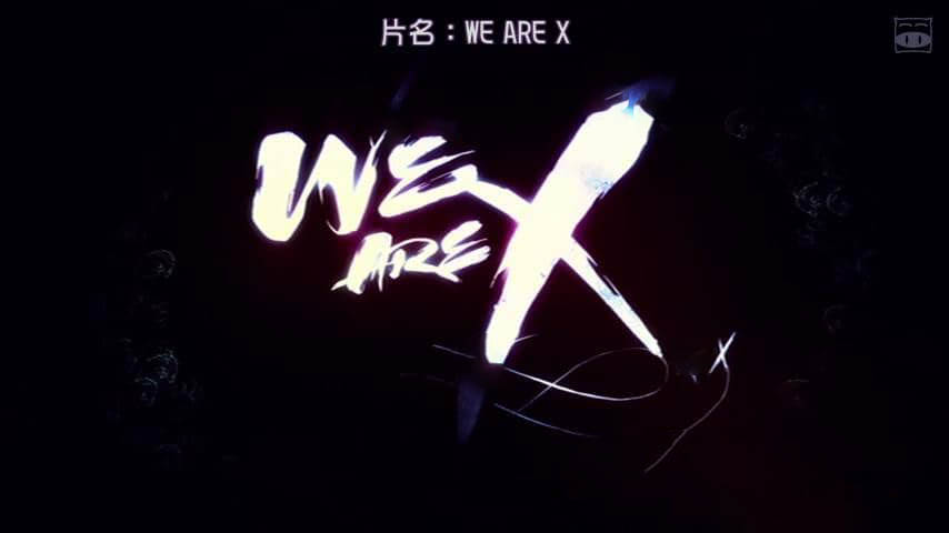 纪录电影《我们是X We Are X 2016》[中字][720P][网盘][资源下载]