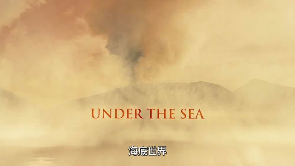 IMAX纪录片《海底世界3D Under the Sea 3D 2009》[全1集][中英双字][1080P][网盘][资源下载]