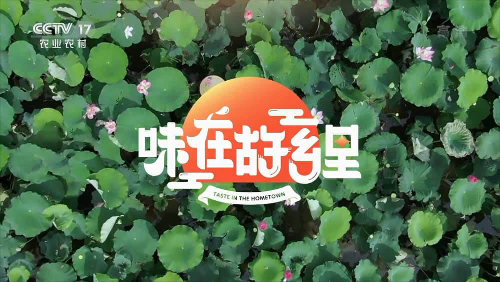 央视纪录片《味在故乡里 2021》[全4集][中字][1080P][网盘][资源下载]