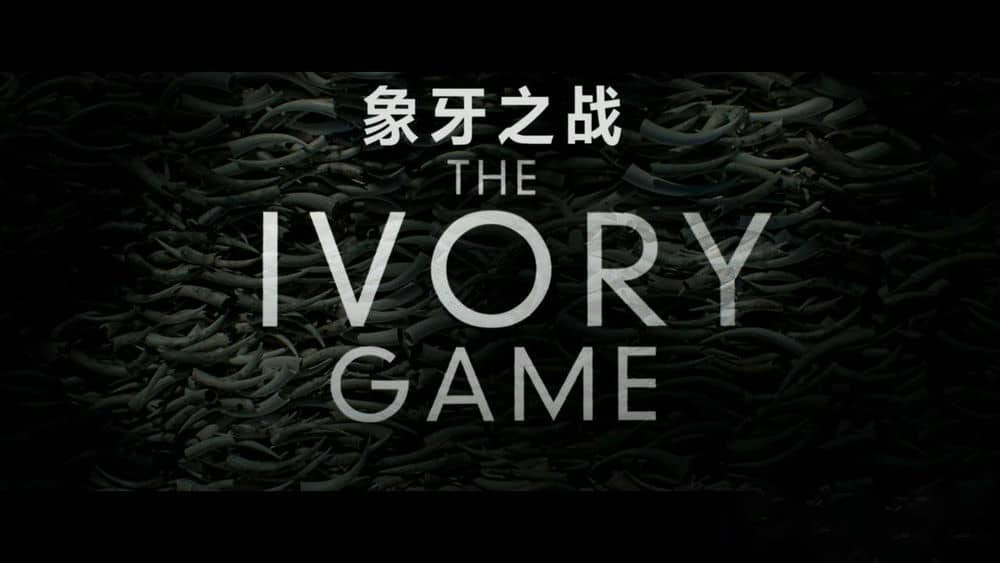 Netflix纪录电影《象牙游戏 象牙之战 The Ivory Game 2016》[全1集][中英双字][720P][网盘][资源下载]