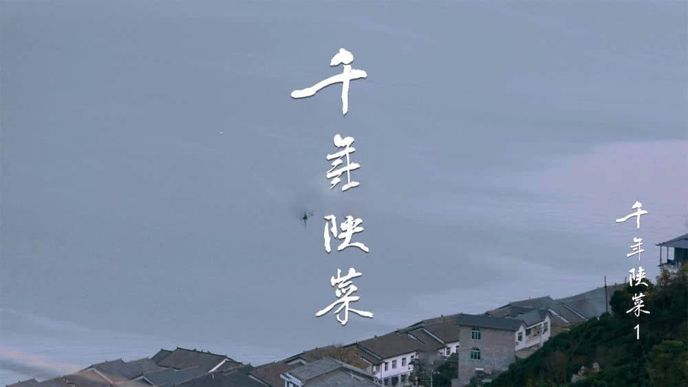 央视纪录片《千年陕菜 2021》[全6集][无水印][中字][4K][网盘][资源下载]