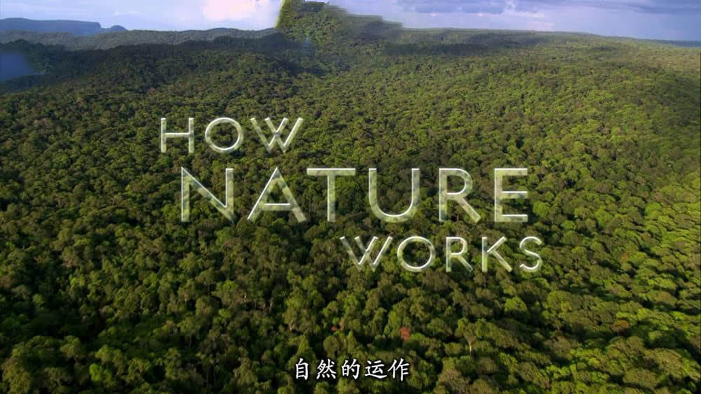 BBC纪录片《自然的运作 How Nature Works 2012》[全4集][中英双字][720P][网盘][资源下载]