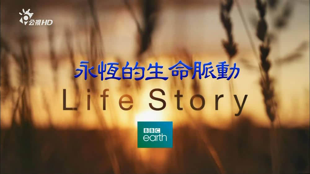 台湾公视译制《永恒的生命脉动 生命故事 Life Story 2014》[全6集][国英双轨]中字[1080P][网盘][资源下载]