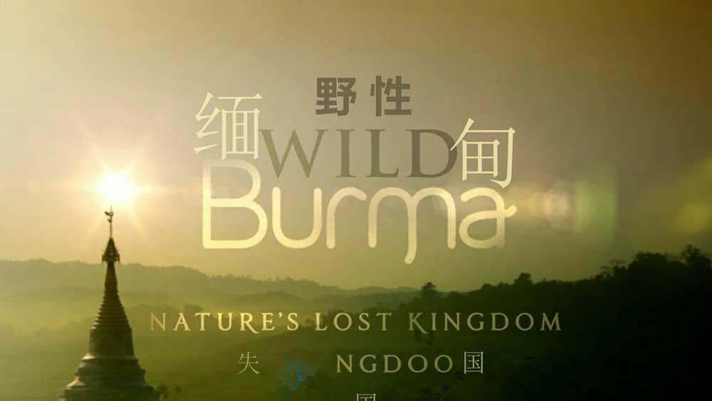 BBC纪录片《野性缅甸：失落的自然王国 Wild Burma:Nature's Lost Kingdom 2013》[全3集][中英双字][720P][网盘][资源下载]