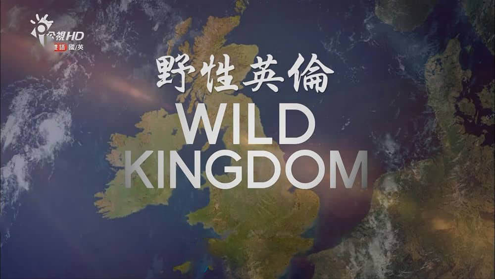 台湾公视译制纪录片《野性英伦 Wild Kingdom》[全4集][国英双轨]中字[720P][网盘][资源下载]