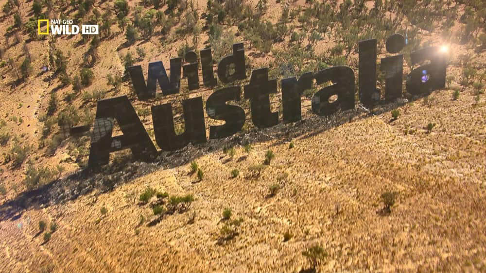 国家地理纪录片《野性澳洲 Wild Australia》[全4集][中字][1080P][网盘][资源下载]