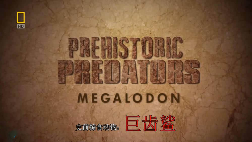 国家地理纪录片《史前掠食动物 Prehistoric Predators 2007》[全7集][中字][720P][网盘][资源下载]