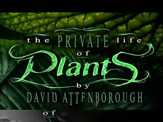 BBC纪录片《植物私生活 The Private Life of Plants 1995》[全6集][中字][720P][网盘][资源下载]