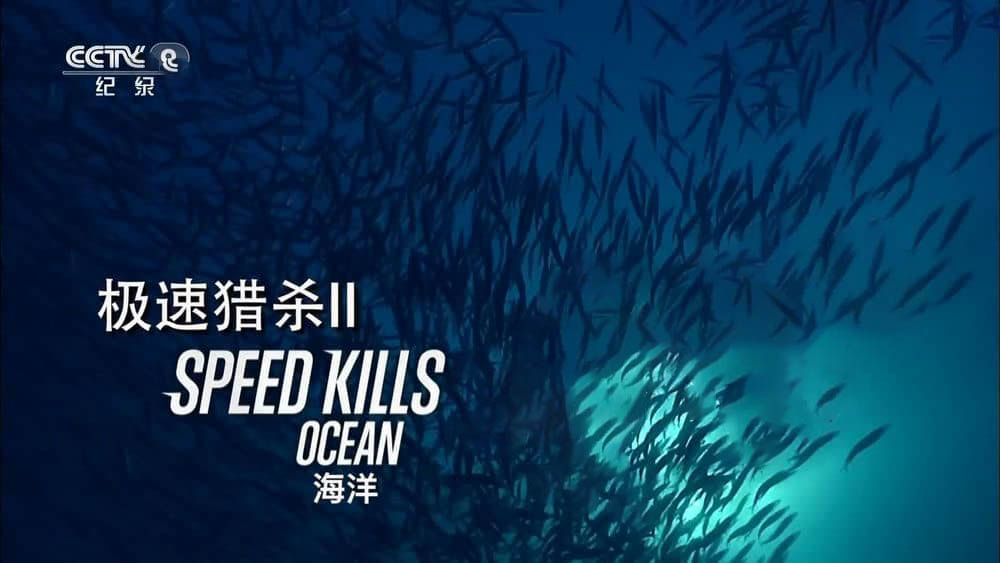 央视译制纪录片《极速猎杀 Speed Kills》[第二季全3集][中字][1080P][网盘][资源下载]