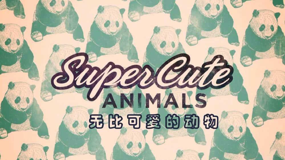 BBC纪录片《无比可爱的动物 超萌动物 Super Cute Animals》[全1集][中字][1080P][网盘][资源下载]