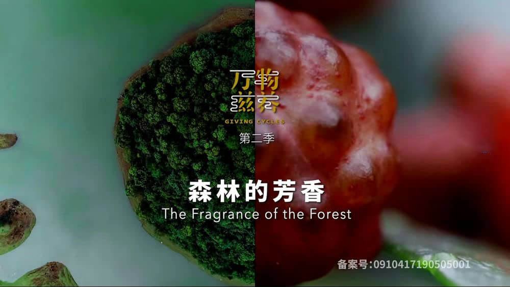 美食纪录片《万物滋养 2019》[第二季全5集][中英双字][1080P][网盘][资源下载]