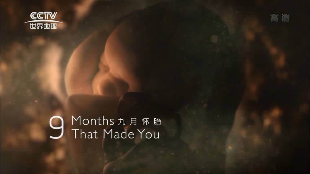 PBS纪录片《九月怀胎 9 Months That Made You》[全3集][中字][1080P][网盘][资源下载]