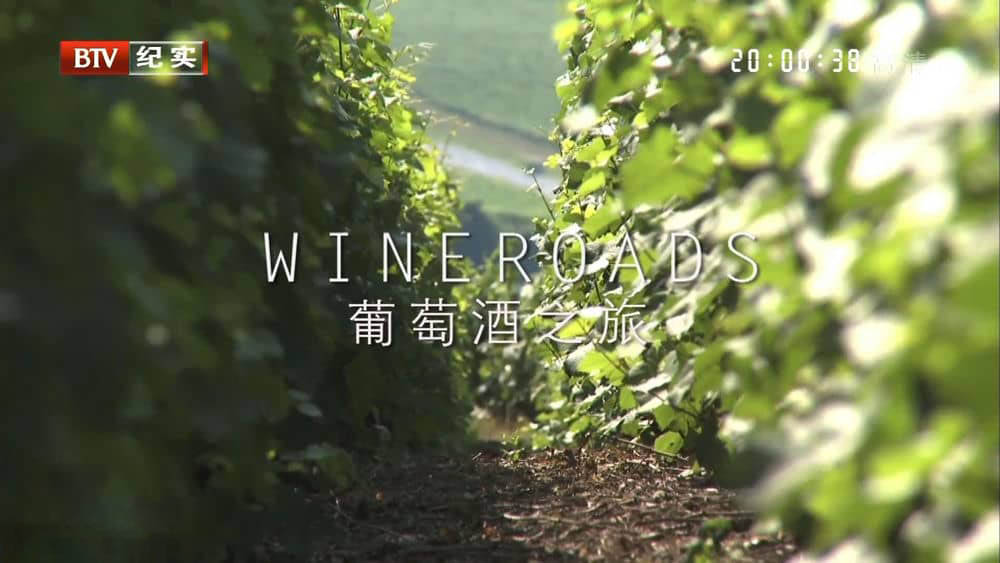 BTV译制纪录片《葡萄酒之旅 Wineroads》[全6集][中字][1080P][网盘][资源下载]