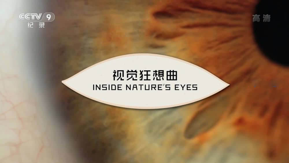 央视译制纪录片《视觉狂想曲 Inside Nature's Eyes》[全1集][中字][1080P][网盘][资源下载]