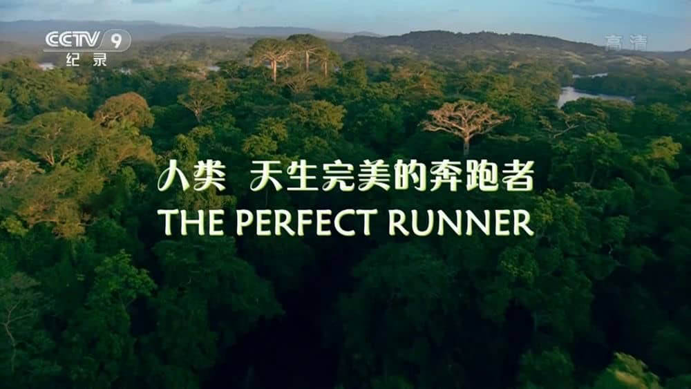 央视译制纪录片《人类 天生完美的奔跑者 The Perfect Runner》[全1集][中字][1080P][网盘][资源下载]