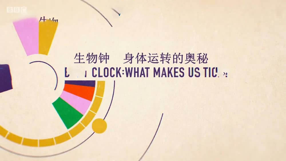 BBC纪录片《生物钟：身体运转的奥秘 Body Clock:What Makes Us Tick? 2018》[全1集][中英双字][720P][网盘][资源下载]