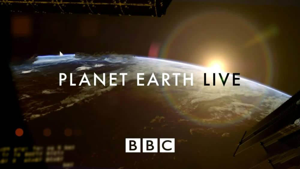 BBC纪录片《地球生存录 Planet Earth Live》[全5集][中英双字][720P][网盘][资源下载]