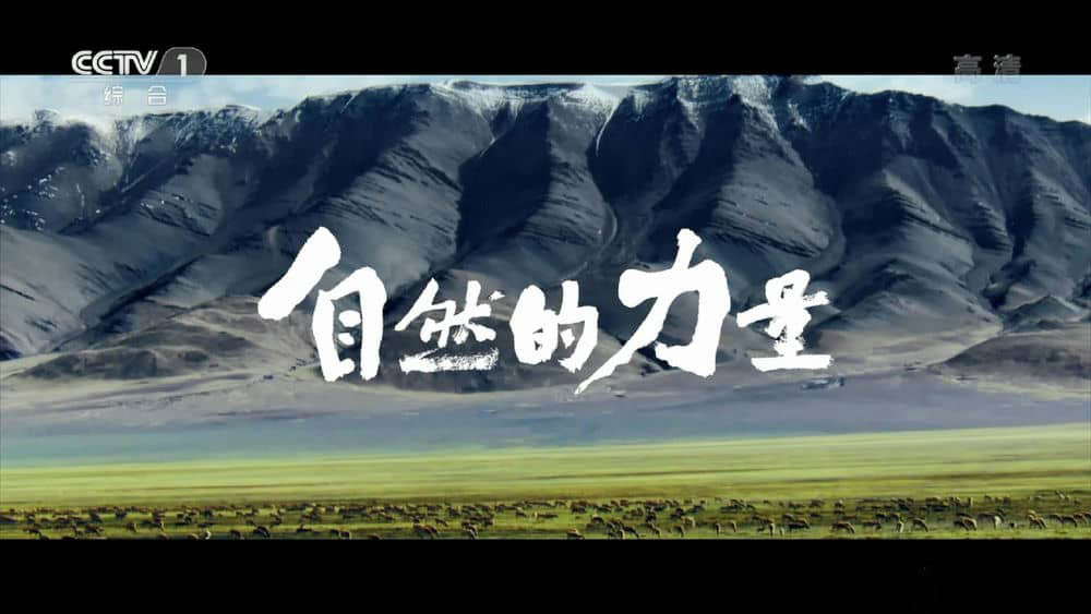 央视纪录片《自然的力量》[全6集][中字][1080P][网盘][资源下载]