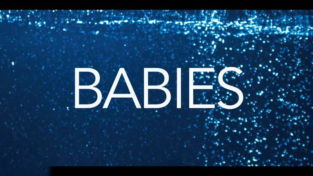 Netflix纪录片《宝贝 宝宝的第一年 Babies 2020》[第二季全6集][中字][1080P][网盘][资源下载]