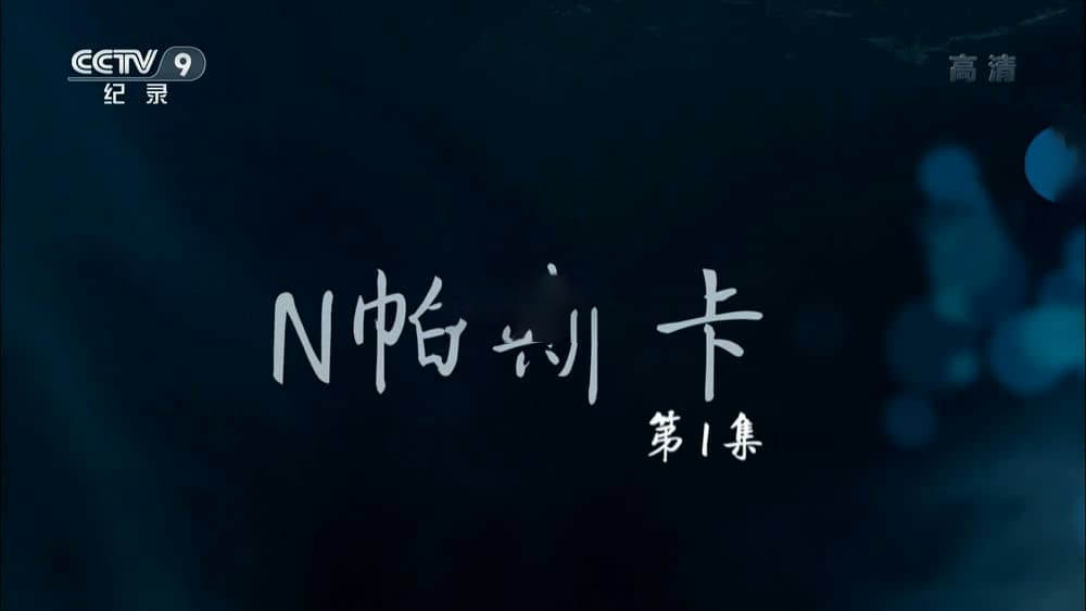 央视纪录片《N帕斯卡 2018》[全4集][中字][1080P][网盘][资源下载]