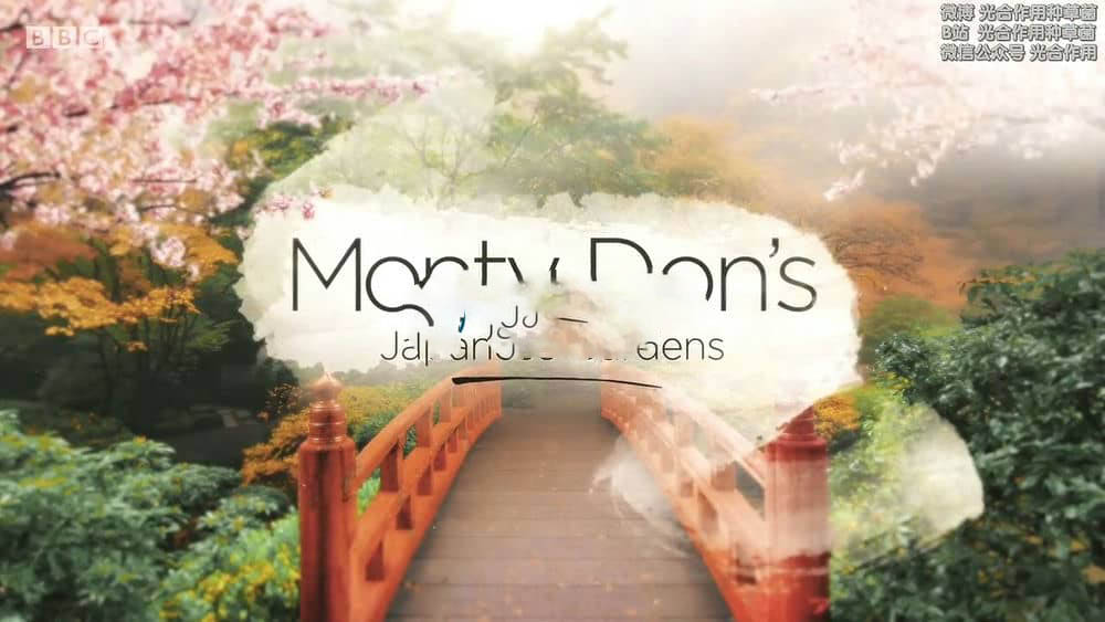 BBC纪录片《蒙顿 ·唐的日本花园之旅 Monty Don's Japanese Gardens 2019》[全2集][中字][720P][网盘][资源下载]