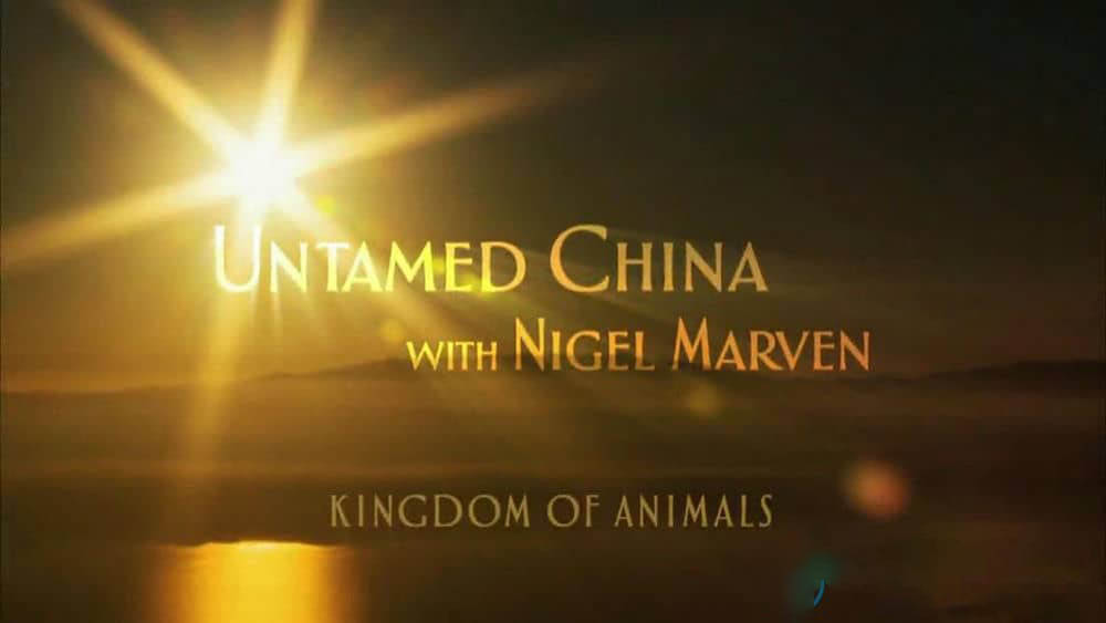 探索频道《未发现的中国 Untamed China With Nigel Marven》[全6集][中字][720P][网盘][资源下载]