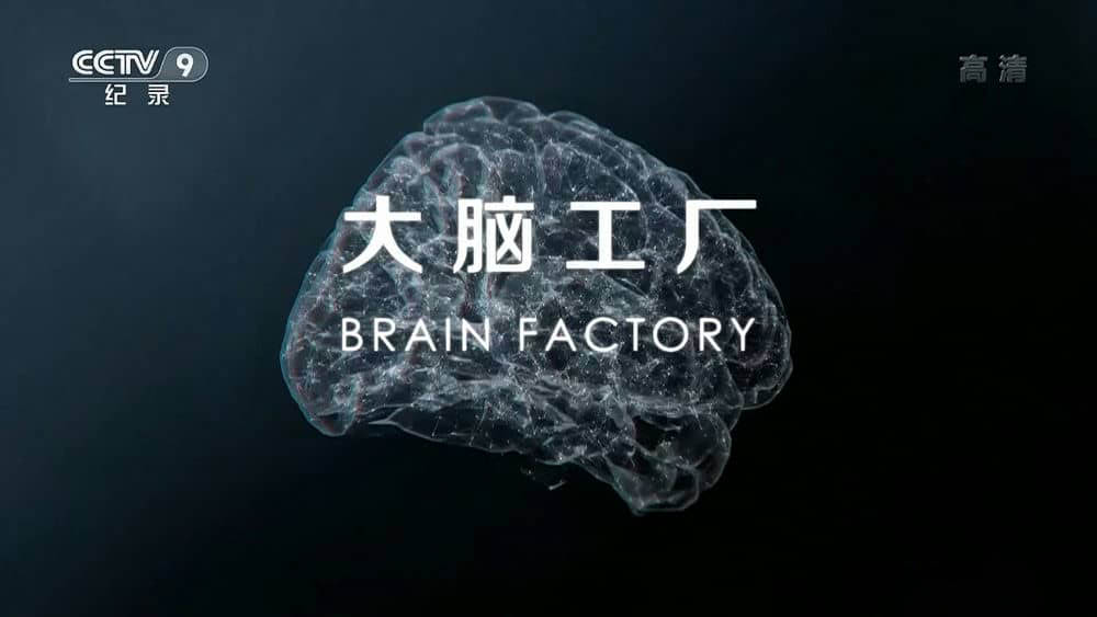 央视译制纪录片《大脑工厂 Brain Factory》[全1集][中字][1080P][网盘][资源下载]