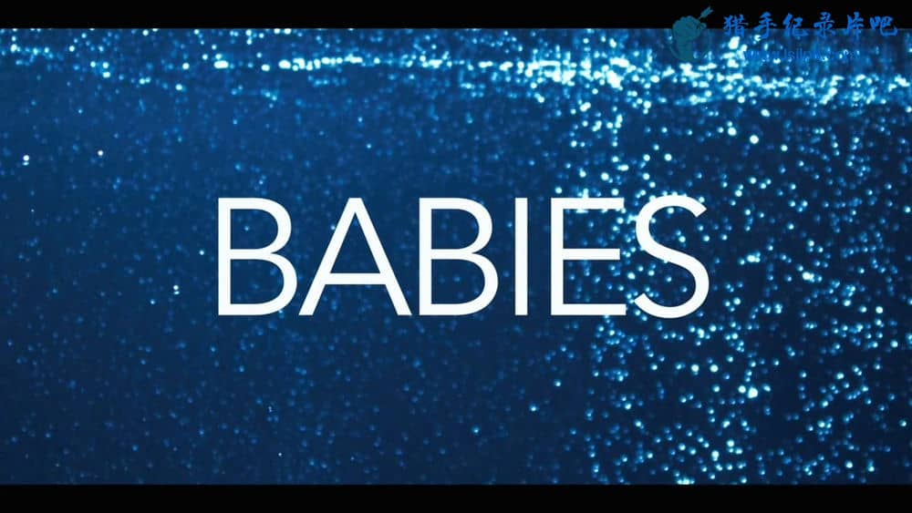 Netflix纪录片《宝贝 奇妙的第一年 Babies 2020》[全6集][中字][1080P][720P][网盘][资源下载]