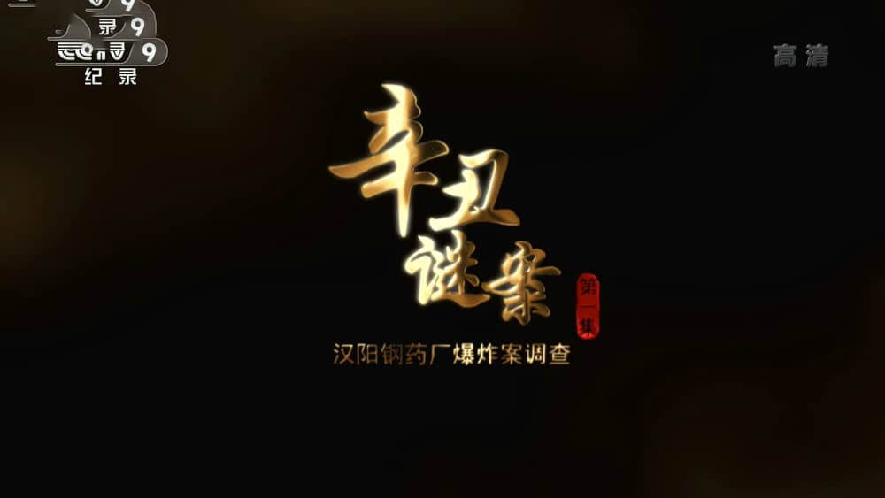 央视纪录片《辛丑谜案——汉阳钢药厂爆炸案调查 2019》[全2集][中字][1080P][网盘][资源下载]