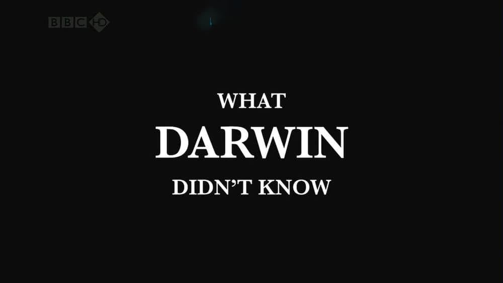 BBC纪录片《达尔文所不知道的 What Darwin Didn't Know 2009》[全1集][俄英双轨][无字幕][外挂字幕][720P][网盘][资源下载]