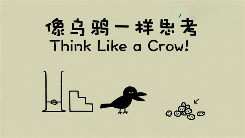 NHK纪录片《像乌鸦一样思考 Think Like a Crow 2013》[全20集][中字][720P][网盘][资源下载]