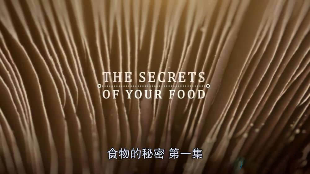 BBC纪录片《食物的秘密 The Secrets Of Your Food 2017》[全3集][中英双字][720P][网盘][资源下载]