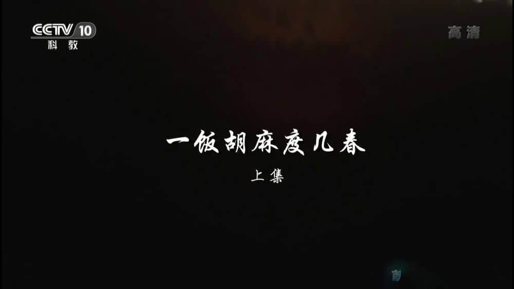 央视纪录片《一饭胡麻度几春》[全2集][中字][720P][网盘][资源下载]