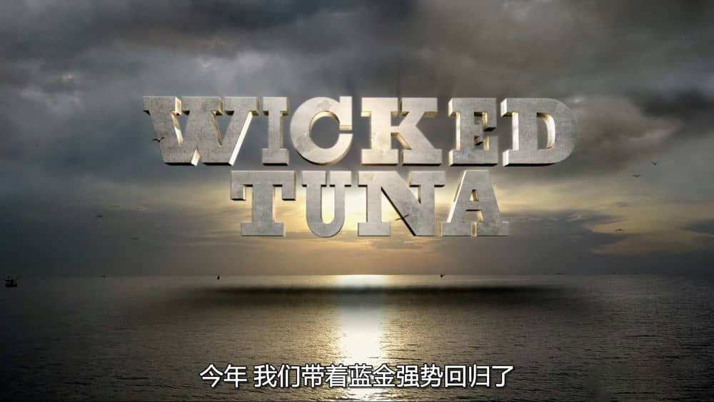 国家地理纪录片《捕鱼生死斗 Wicked Tuna 2023》[第11季全20集][中字][1080P][网盘][资源下载]