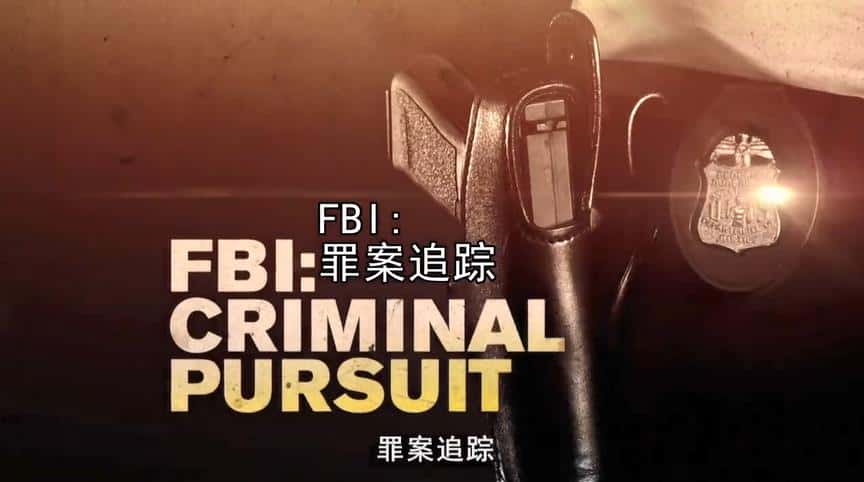 ¼Ƭ FBIﰸ׷ (2011) FBI: Criminal Pursuit Season 1 -Ѹ