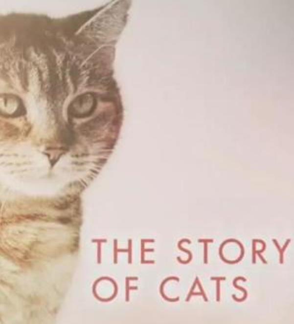 【英语中字】动物世界纪录片：bbc-猫的故事-猫科动物的故事全集高清纪录片下载