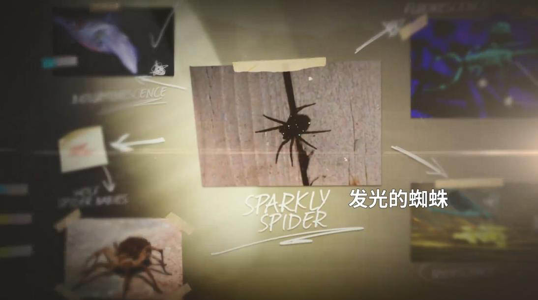 昆虫谜团纪录片《发光蜘蛛之谜》全1集 -英语中字1080P高清网盘下载