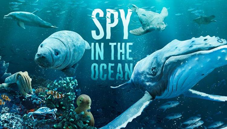 Ұ¼Ƭ / Spy in the Oceanȫ4 - Ӣ1080PѸ