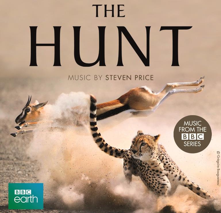 BBC纪录片《猎捕 The Hunt》(2015)[无字幕][720P][1080P][原盘收藏][BT][资源下载]