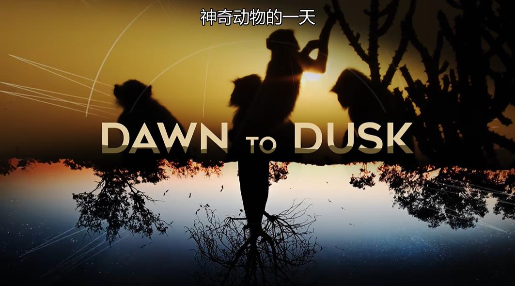 ¼Ƭ涯һ/Dawn to dusk2020ȫ8-1080P̸