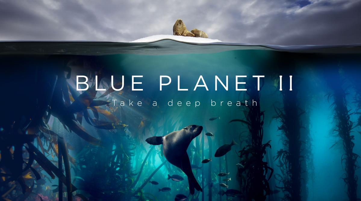 BBC纪录片《蓝色星球 The Blue Planet Season 2》第二季全7集[中英字幕][4K][1080P][720P][BT][资源下载]