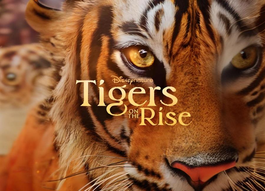 붯¼Ƭϻ Tigers on the Riseȫ1[Ļ+Ļ]1080PѸBTԴ