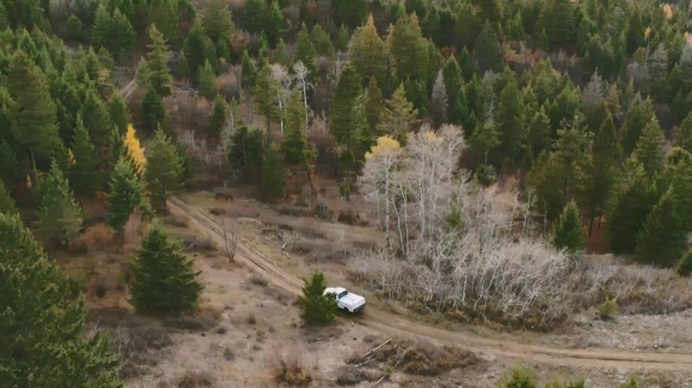 Ұ¼ƬҰһ Alaskan Bush People Season 11ȫ8[Ļ/Ļ]720PѸBTԴ