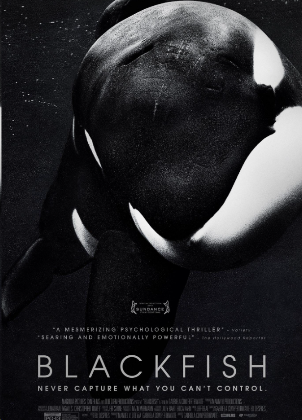 纪录电影《黑鲸 Blackfish 2013》[中英双字][1080P][网盘][资源下载]