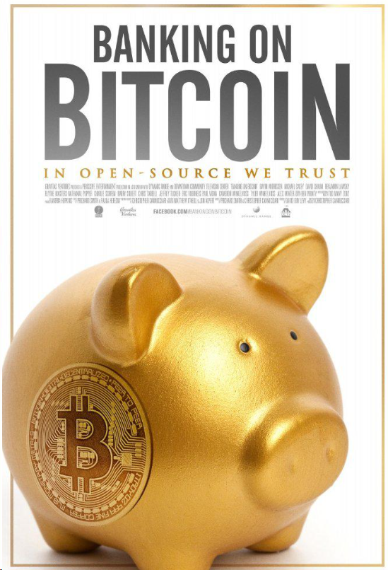 纪录电影《寄希望于比特币 Banking on Bitcoin 2016》[无字幕][外挂字幕][1080P][网盘][资源下载]