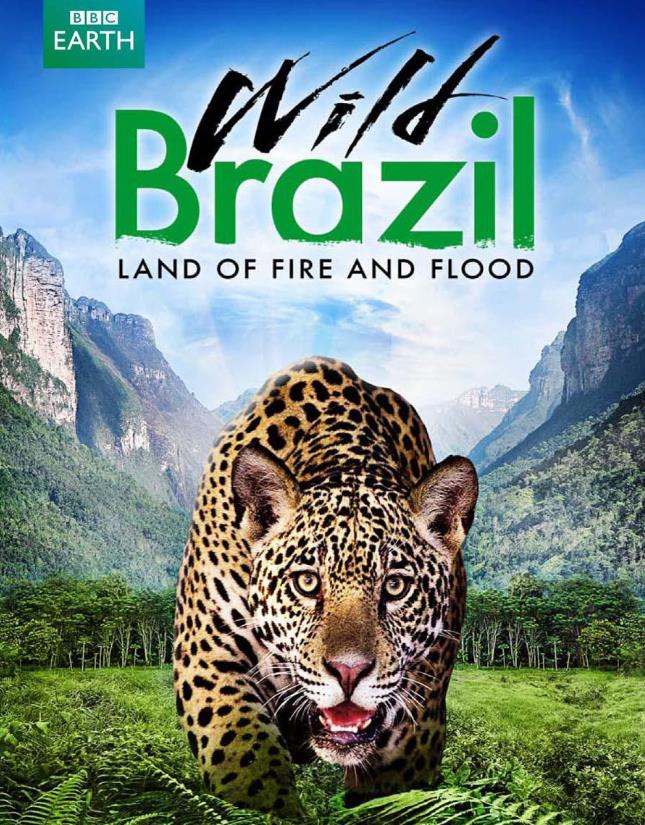 纪录片《野性巴西 狂野巴西 Wild Brazil》全3集[无字幕][1080P][15.58GB][BT][资源下载]