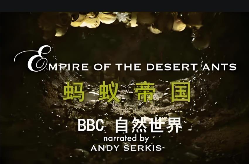 BBC.蚂蚁国度.Planet Ant. Inside the Colony.HDTV 1080i.[中字][网盘][资源下载]